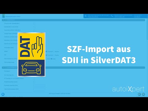 SZF-Import aus SilverDATII - DAT Schadenkalkulation