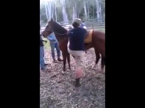 Pferdebesitzer-Risiko